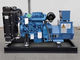 Niestandardowy kolor YUCHAI Diesel Generator Set Trójfazowy Witn AC Alternator