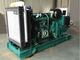 320 KW  Diesel Generator Set 400 KVA 60 HZ 1800 RPM AC Trójfazowy
