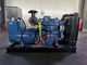 60 HZ China Diesel Generator Set 1800 RPM Z silnikiem WEICHAI