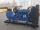 180 KW Super Generator Perkins Szybka naprawa 3-fazowego generatora Perkins