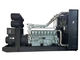 600 KW Perkins Generator Diesla 50 Hz Generator Diesla Z Kontrolerem Deepsea